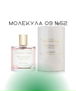 Молекула 09 №52
